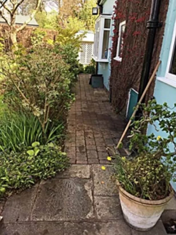 back yard with leak