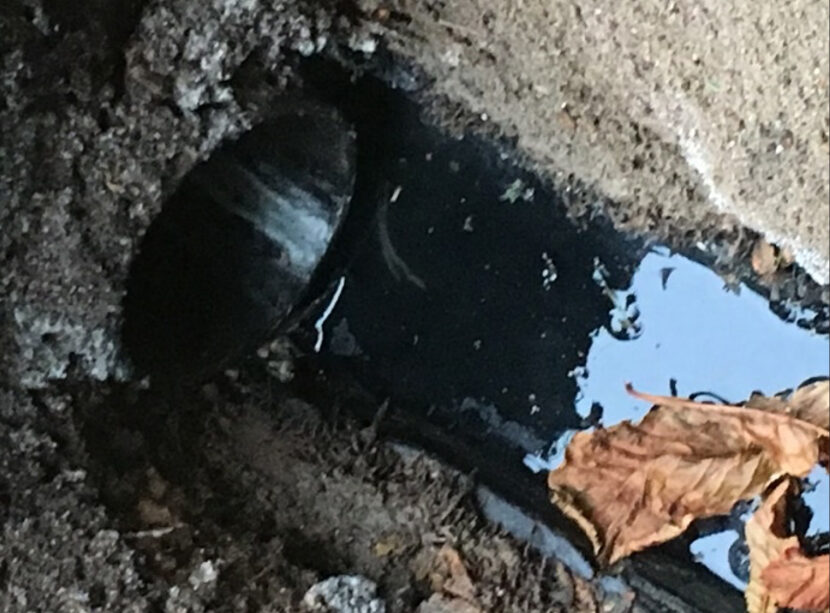 spetic tank claim - above ground waste 2