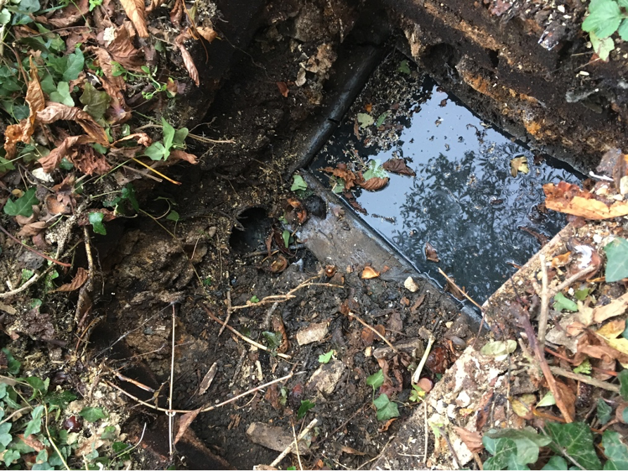 spetic tank claim - last chamber