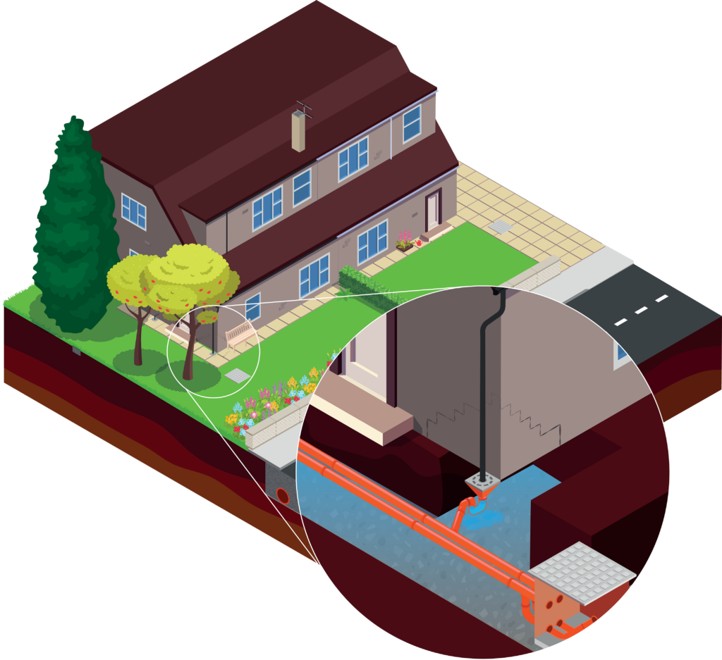 CCM 32400 – Susidance