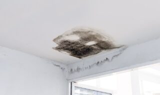 Leak detection guide gives best advice on winter pipe bursts