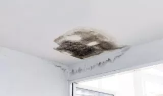 Leak detection guide gives best advice on winter pipe bursts