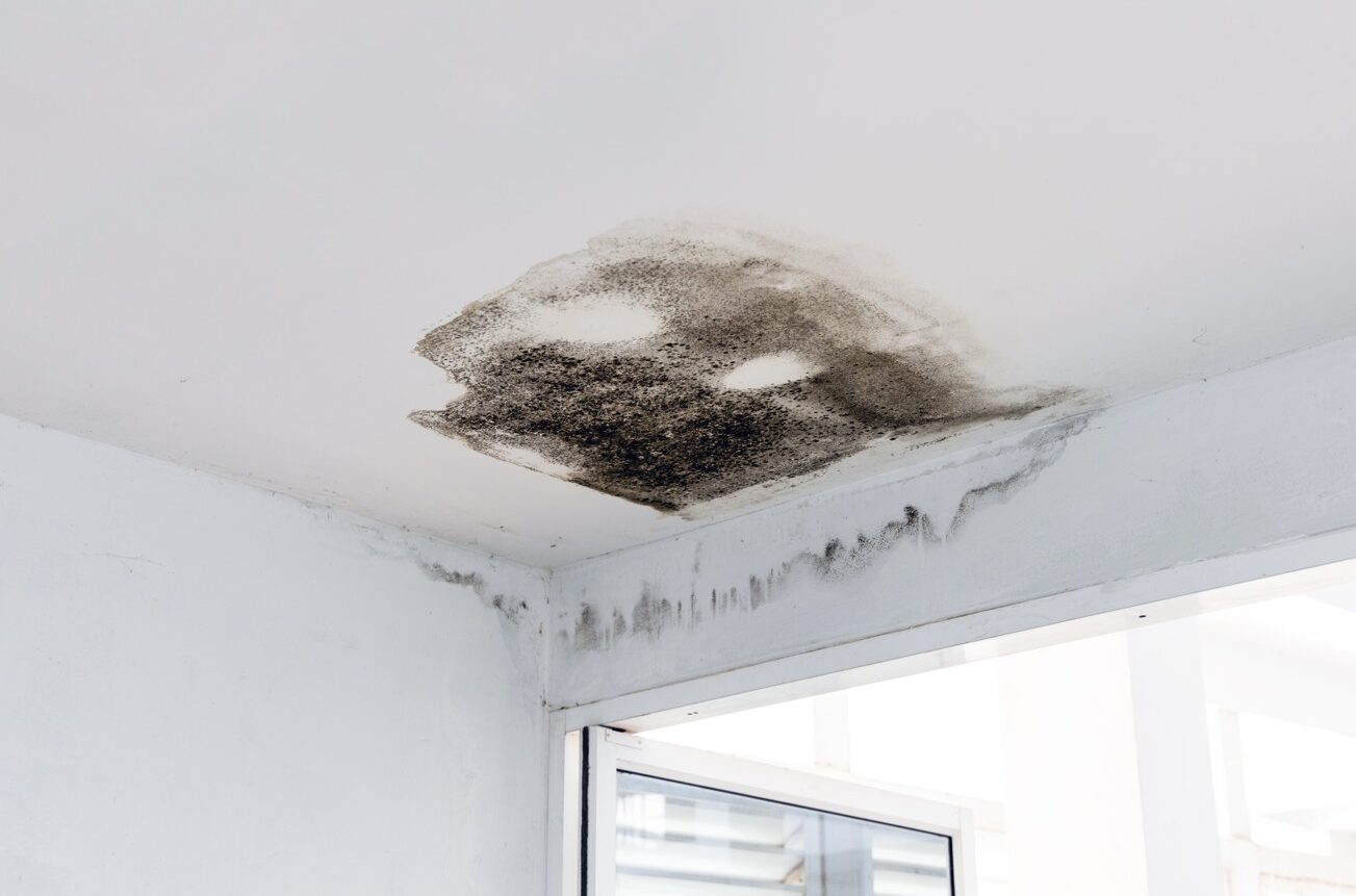 Catalyst-water-pipe-leak-mould-growth