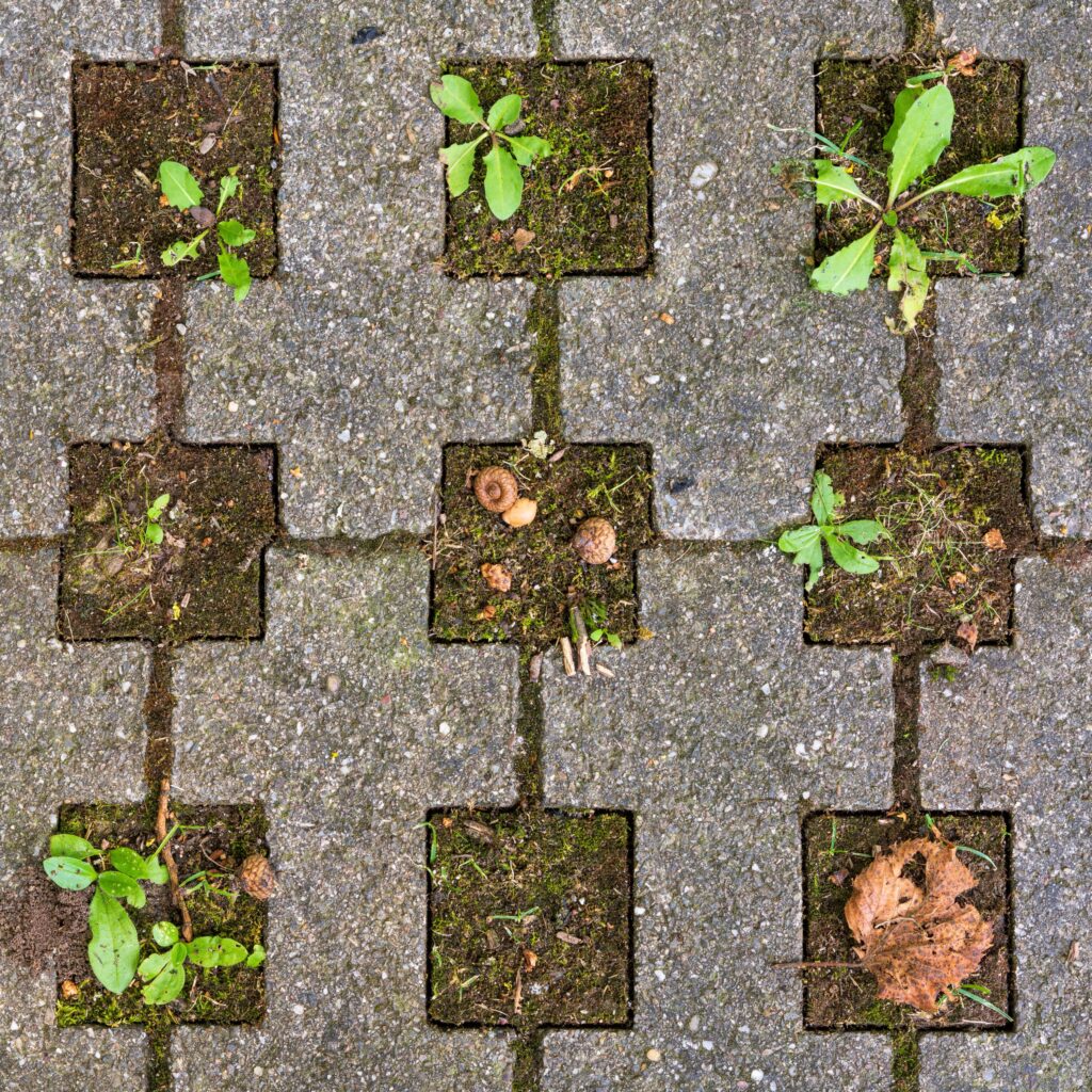 © Roman Eisele
https://creativecommons.org/licenses/by-sa/4.0/
 