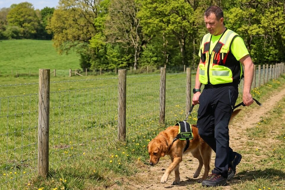 Catalyst Sniffer Dog feature image