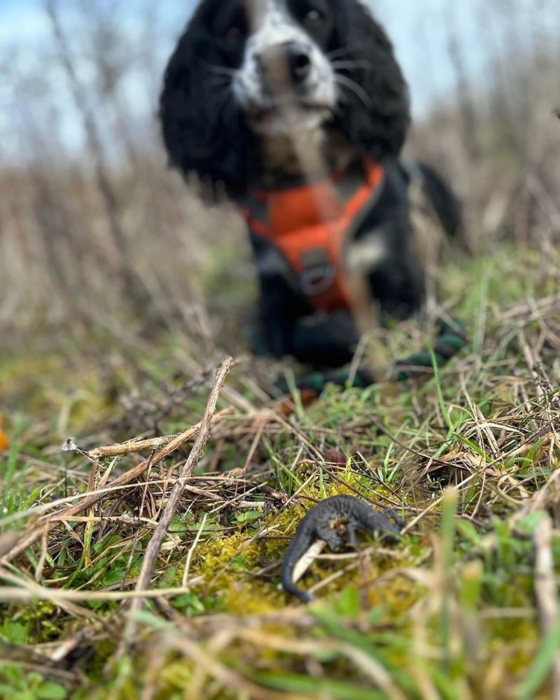 Wessex Water newky-800×999