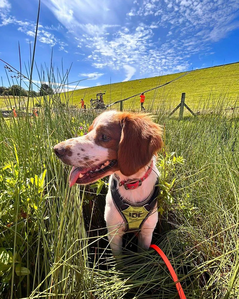 Wessex Water obi-800×1067