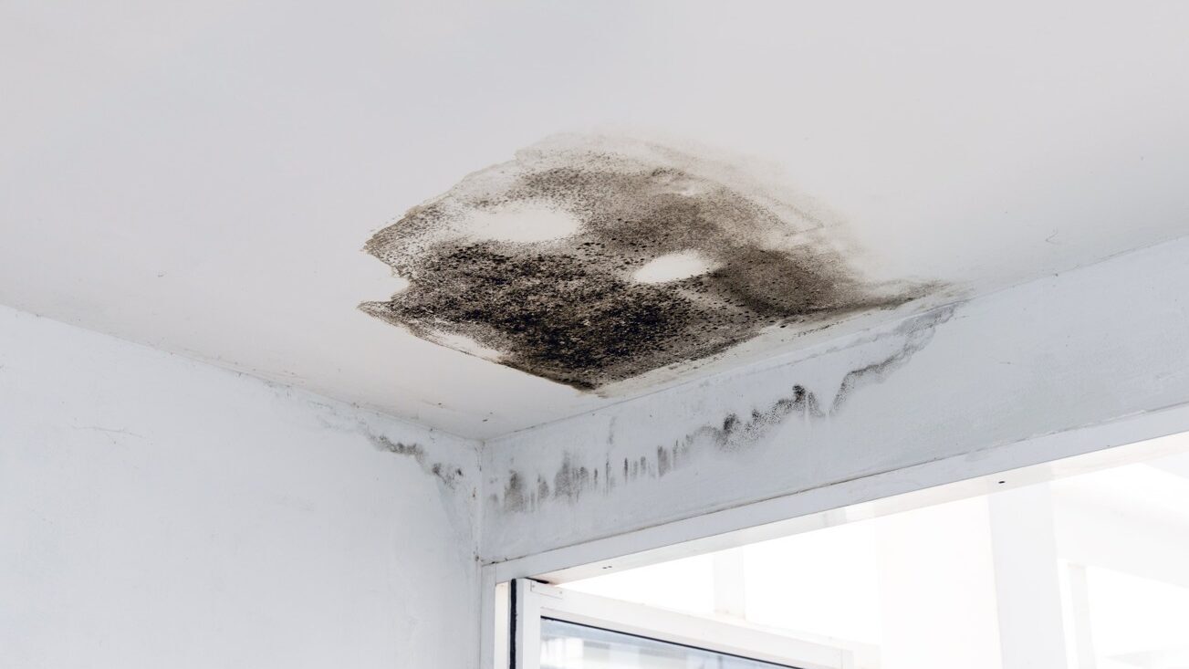 Catalyst-water-pipe-leak-mould-growth