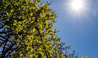 The heat is on – how climate change is impacting below ground services insurance claims
