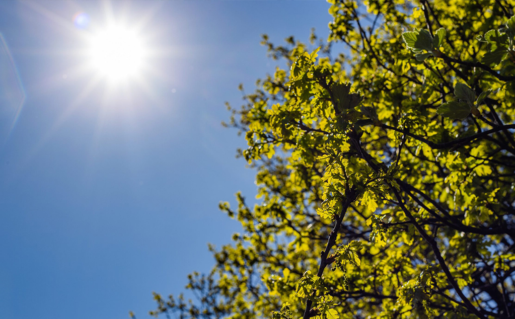 Global warming and below ground asset insurance claim
